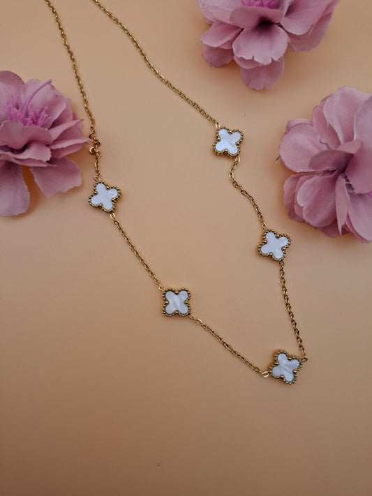Bloom
