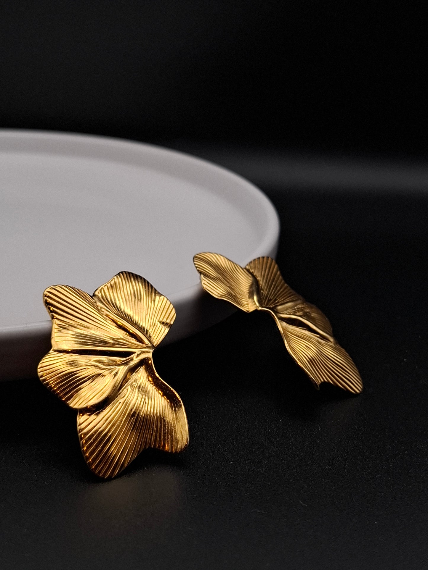 Ginkgo Folium